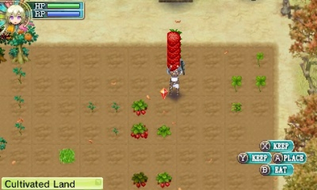 Rune Factory 4 preview 1