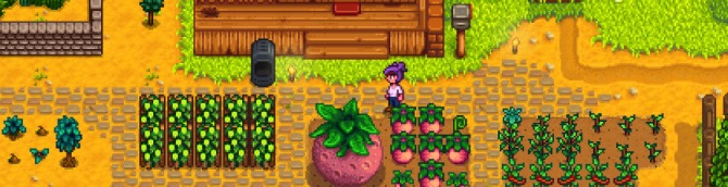Stardew Valley Launches on Consoles Next Month, Wii U Version Cancelled