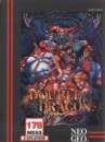 Double Dragon boxart at gamrReview