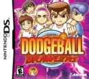 Super Dodgeball Brawlers boxart at gamrReview