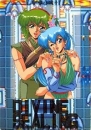 Divine Sealing boxart at gamrReview