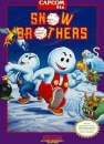 Snow Brothers boxart at gamrReview