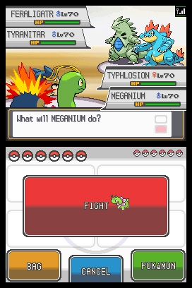 DS / DSi - Pokémon HeartGold / SoulSilver - Safari Zone Building