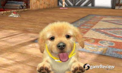 how to get more money on nintendogs + cats