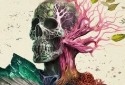 Avowed Releases Fall 2024 for Xbox Series X|S, PC, and Game Pass - Vimarsana News