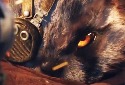 Biomutant Gameplay Videos Showcase the Game Running on Different Platforms - Vimarsana News