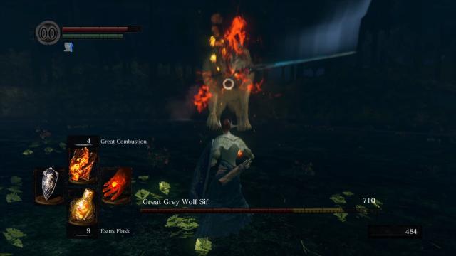 darksoulssl1 11