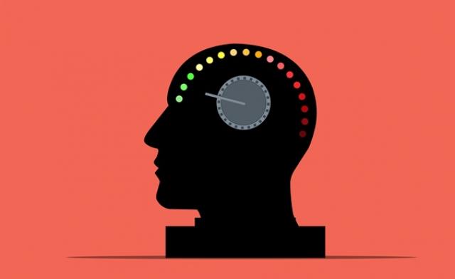 Dr Kawashima's Body and Brain Exercises – review, Games