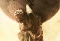 Next Mainline Sid Meier's Civilization is in Development, Studio Head and XCOM Director Depart - Vimarsana News