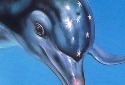 Remaster Collection Ecco the Dolphin: Complete Announced