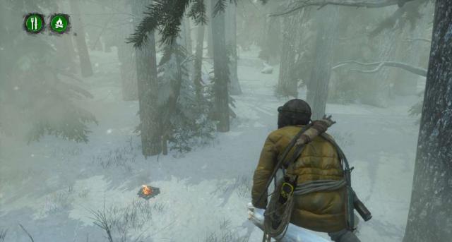of the Tomb Raider's Co-op Endurance Mode is the Best to Play Game
