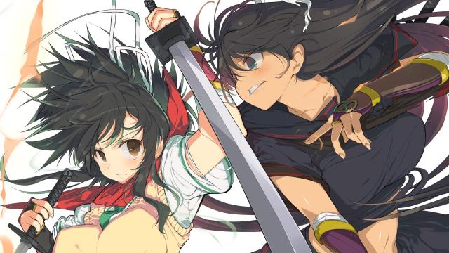 Senran Kagura Burst – Review