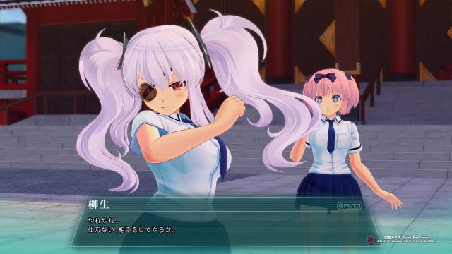 Senran Kagura: Burst Re:Newal Review –