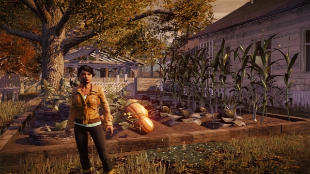 garden