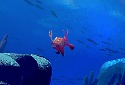 Soulslike Another Crab's Treasure Announced for Switch and PC - Vimarsana News