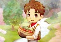 Story of Seasons: A Wonderful Life Announced for Switch - Vimarsana News