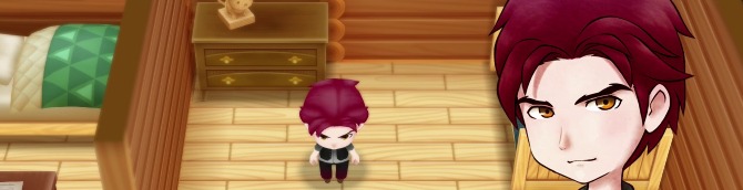 friends of mineral town switch north america