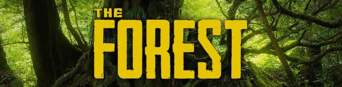  The Forest Ps4