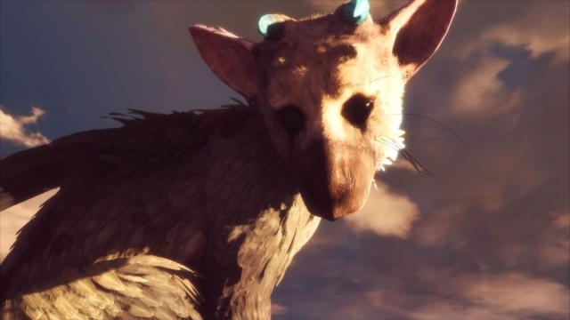 The Last Guardian New Screenshots Focus On Mysterious Creature Trico
