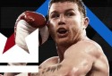 Undisputed Releases October 11 for PS5, Xbox Series X - Vimarsana News