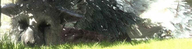 Yoshida Updates on Last Guardian's Status