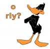 Daffy