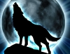 Wolfen