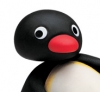 Pingu