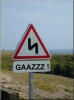 Gazz