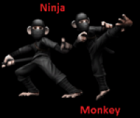 Ninja~Monkey