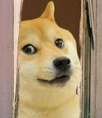 The_Shining_Dogeh