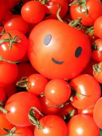 TomaTito