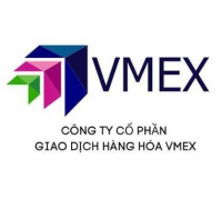 vmexphaisinh