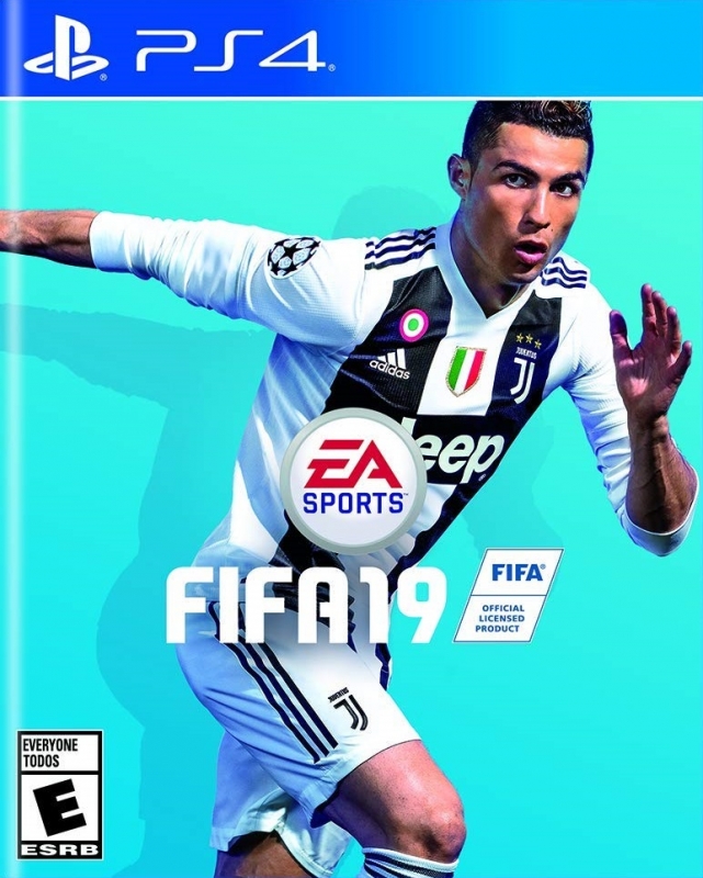 FIFA 19 on PS4 - Gamewise