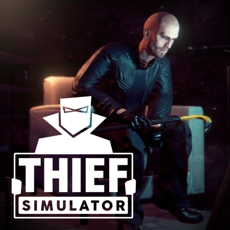 thief-simulator-cheats-nintendo-switch-webcamstashok