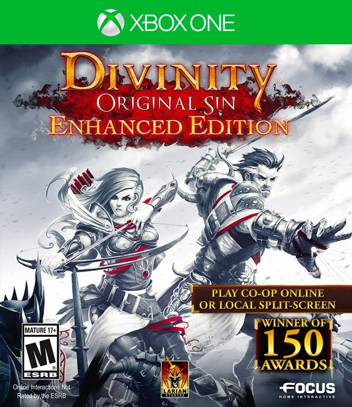 Divinity: Original Sin Enhanced Edition [Gamewise]