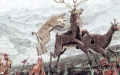 Image01