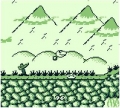 Image01