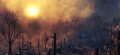 Added by hellobion2, 04th February 2024