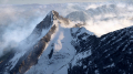 Added by hellobion2, 04th February 2024