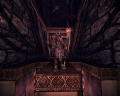 Added by hellobion2, 25th February 2024