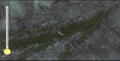Added by Blacksaber, 25th November 2009