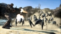 Added by theprof00, 13th November 2009