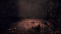 Added by hellobion2, 25th February 2024