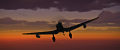 Added by hellobion2, 10th May 2024