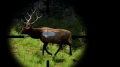Added by theprof00, 13th November 2009