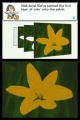 Image01
