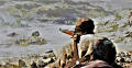 Added by hellobion2, 04th February 2024