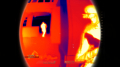 Added by hellobion2, 07th February 2024