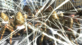 Added by hellobion2, 23rd February 2024